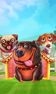 The Dog House